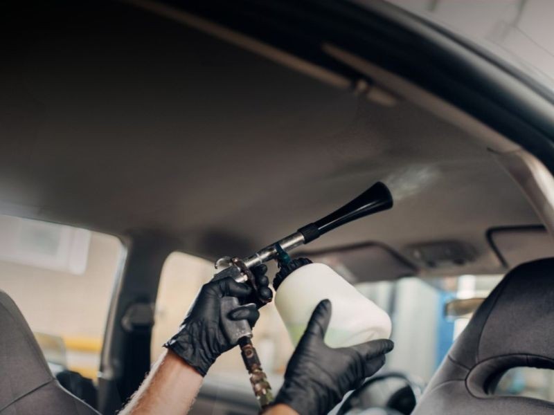 Higienização Interna